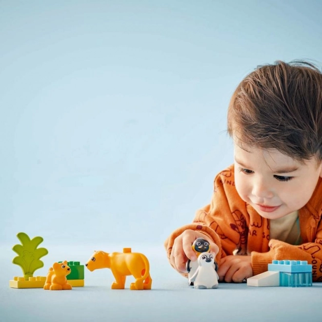 Duplo vadvilági családok: Pingvinek és oroszlánok