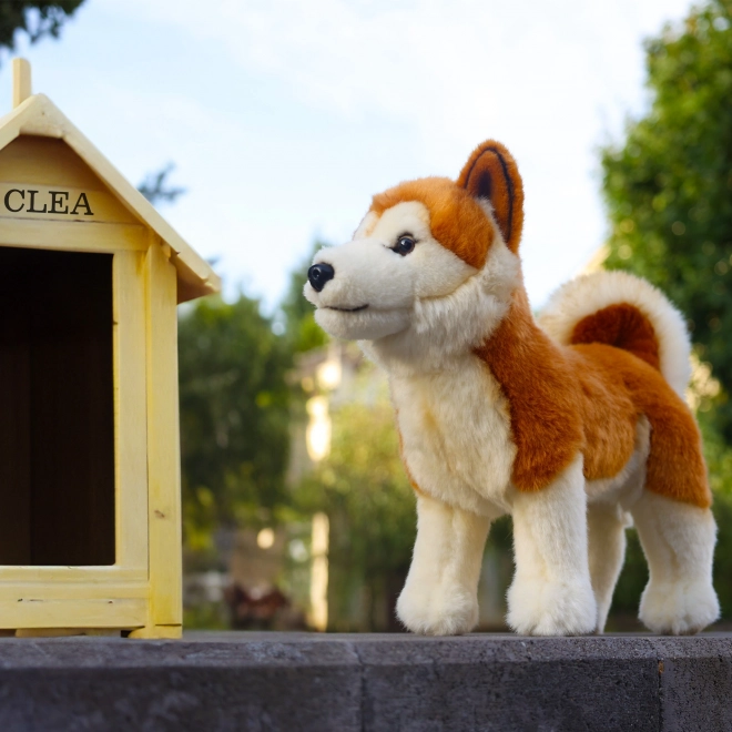 ECO-FRIENDLY plüss Akita Inu kutya 30 cm