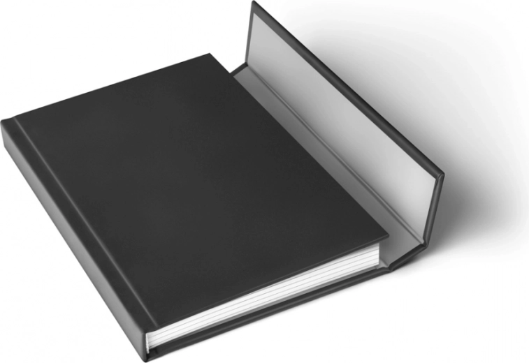 Esztétikai motívum