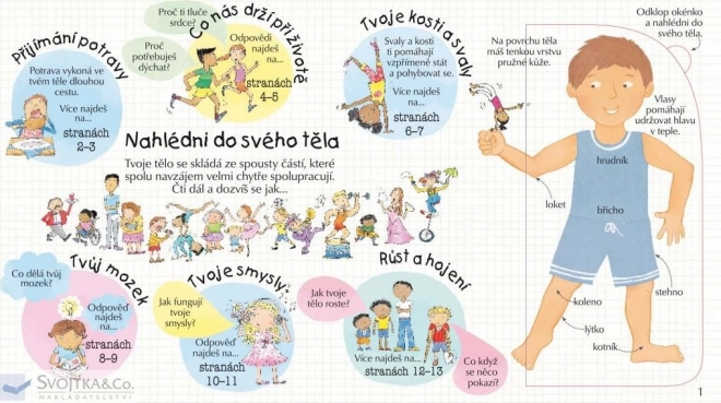 Nézd meg a tested