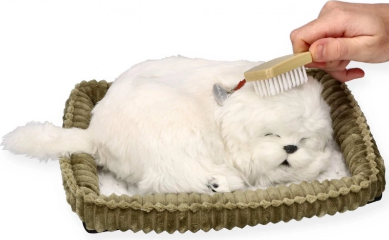 Gondoskodás és ölelgetés, mint egy igazi kutyával