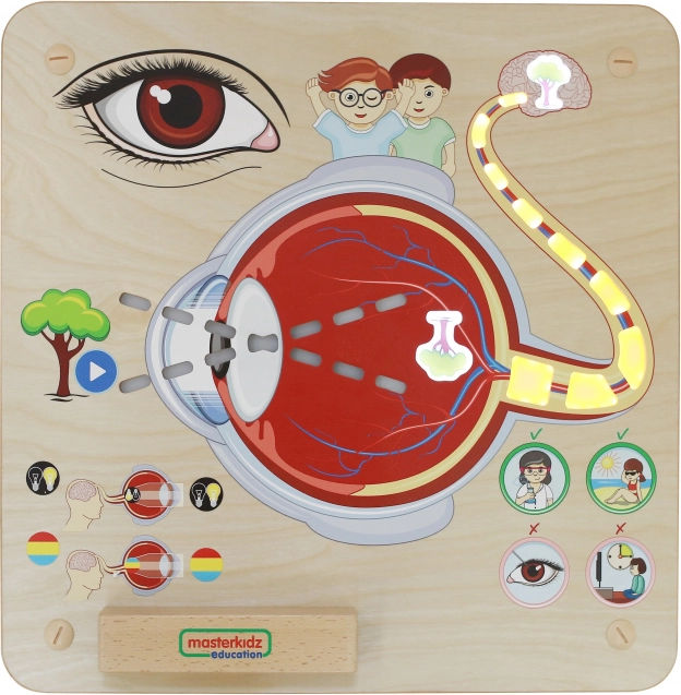 Masterkidz Oktatási észlelőtábla Montessori