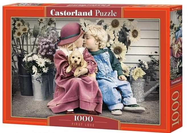 castorland szerelem első látásra puzzle 1000 darabos