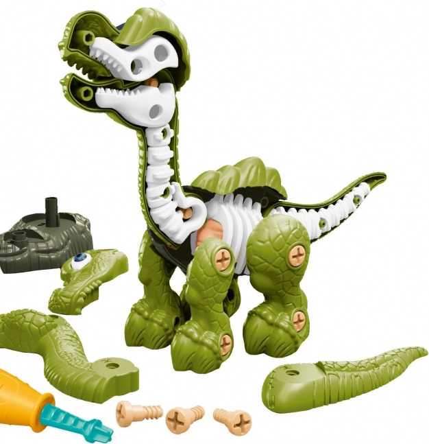 Csavarható dinoszaurusz csontvázzal zöld