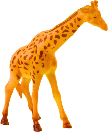 Tanulás játékkal – ismerd meg az állatokat