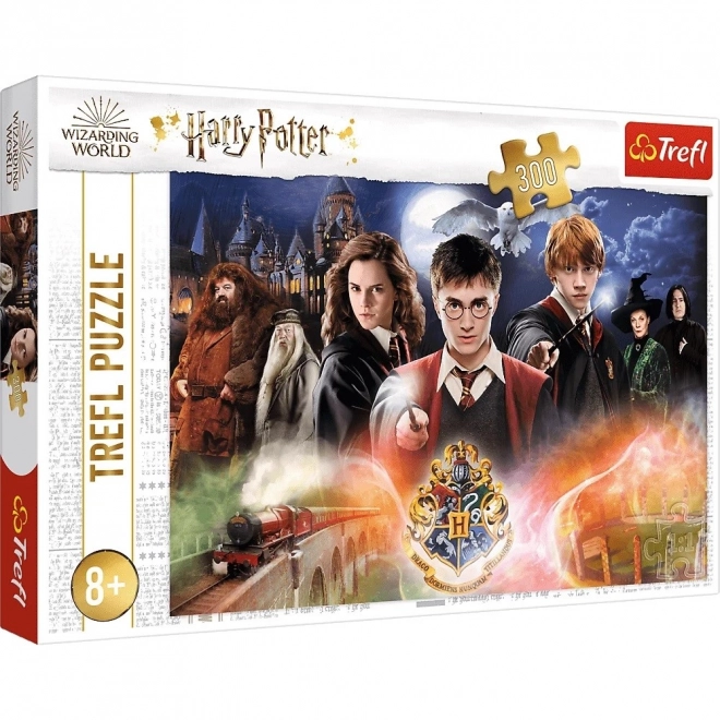 Rejtélyes Harry Potter 300 darabos puzzle