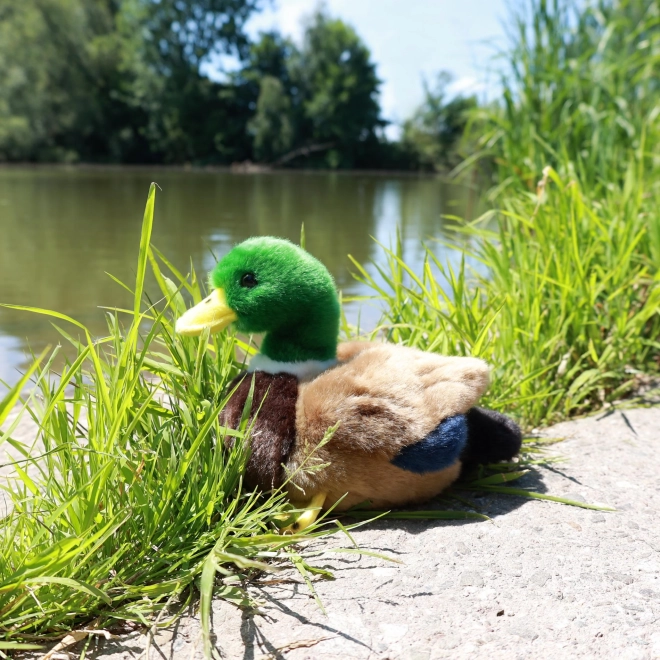 Plüss kacsa 20 cm öko-barát
