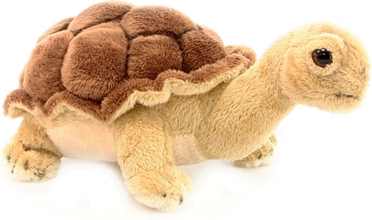 Élethű megjelenés részletgazdag páncéllal