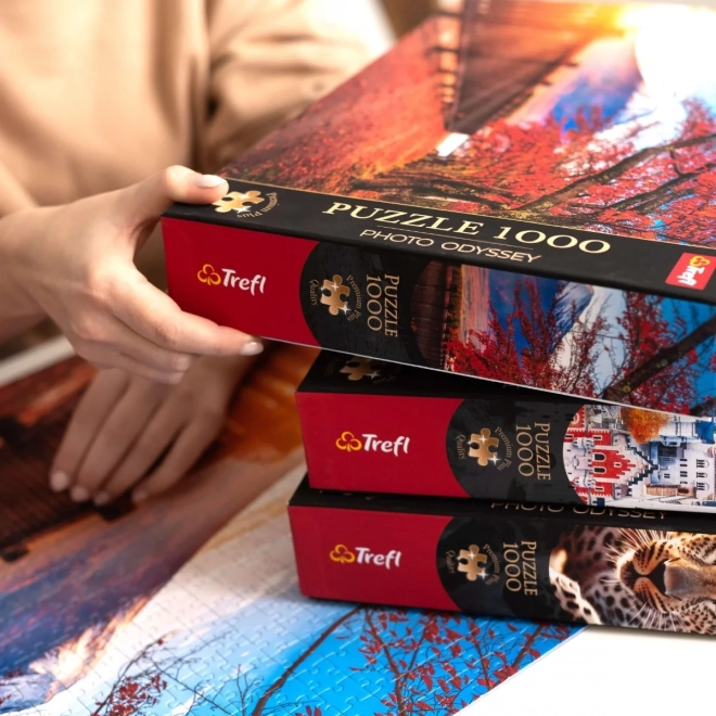 Notre-Dame-székesegyház 1000 darabos prémium puzzle