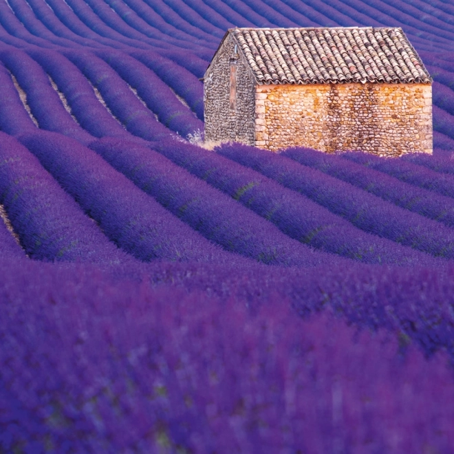 Provence Jegyzetnaptár 2026