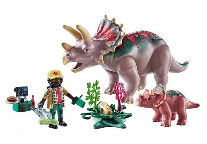 PLAYMOBIL Triceratops figura készlet