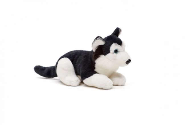 Plüss Husky kutya 15 cm