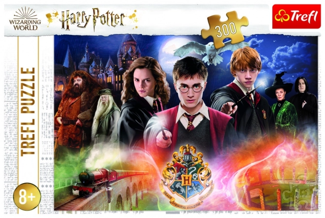 Rejtélyes Harry Potter 300 darabos puzzle