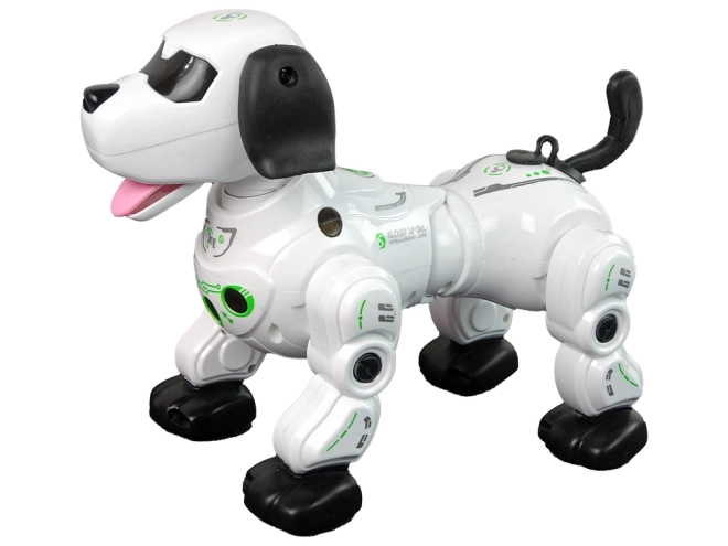 Interaktív távirányítós robotkutya