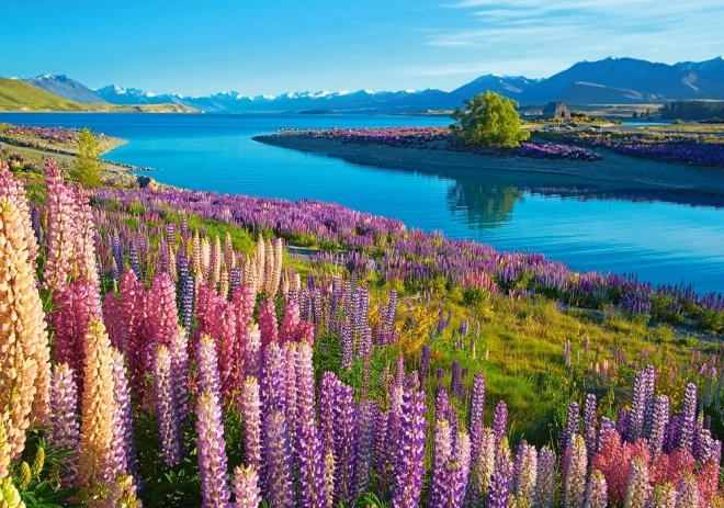 Jigsaw puzzle Jezero Tekapo Új-Zéland 500 darabos