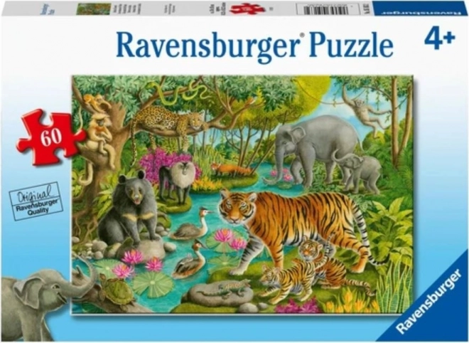 ravensburger állatok indiában puzzle 60 darabos