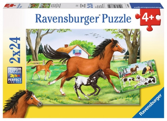 Ravensburger világ lovai puzzle - 2x24 darabos