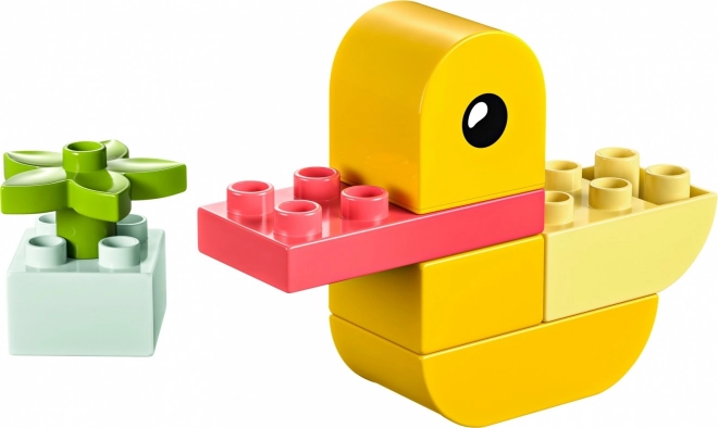 DUPLO Az első kiskacsám 4 az 1-ben