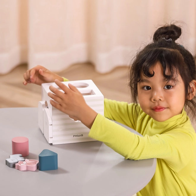 Polarb montessori oktatási formaválogató csörgő kockák