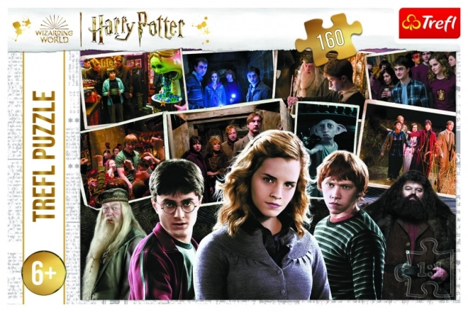 Harry Potter és barátai puzzle 160 darabos készlet