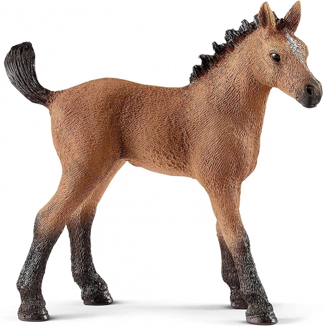 Quarter ló csikó figura a Schleich Horse Club sorozatból