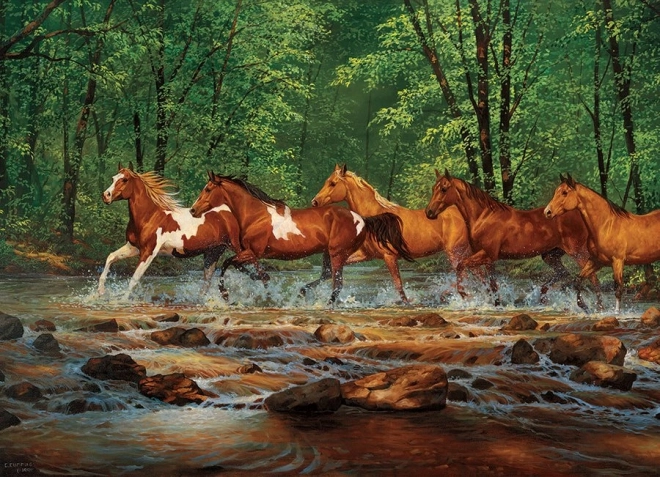 Puzzle Klus a Spring Creek 1000 darab