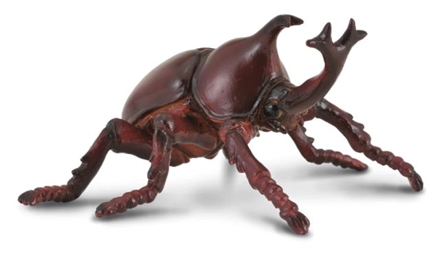 Collecta rinocérosz bogár figura