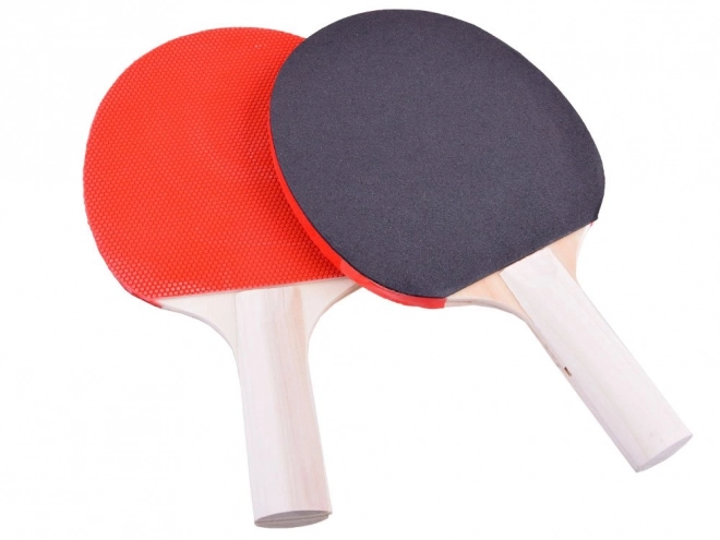 Hordozható Ping Pong Készlet