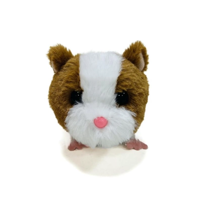 Aranyos hangok