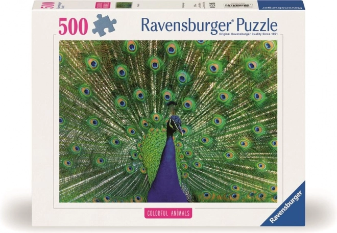 Ravensburger puzzle: Fenséges páva 500 darabos