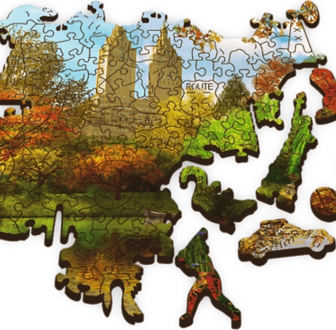 Fa puzzle Central Park New York