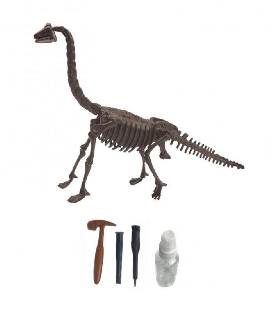 Régészeti készlet – Brachiosaurus