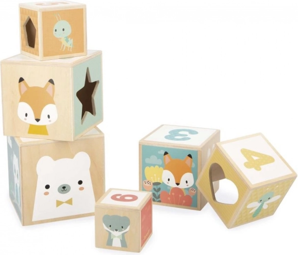 Számok és formák vidám tanulása