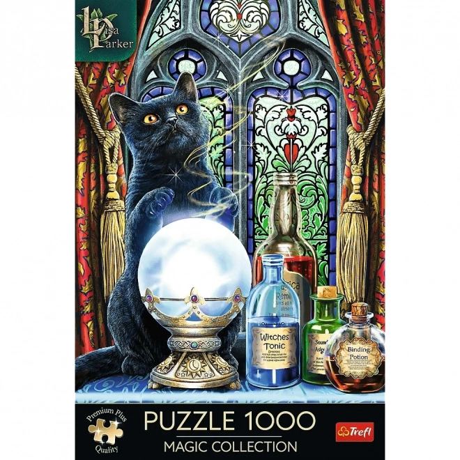 Varázsló Tanítványa Puzzle - Lisa Parker