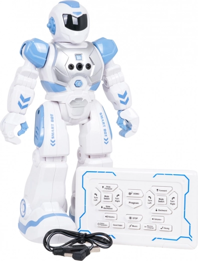 Mozgásprogramozás és demó mód