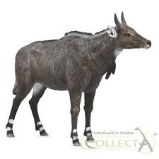 Nilgai figura