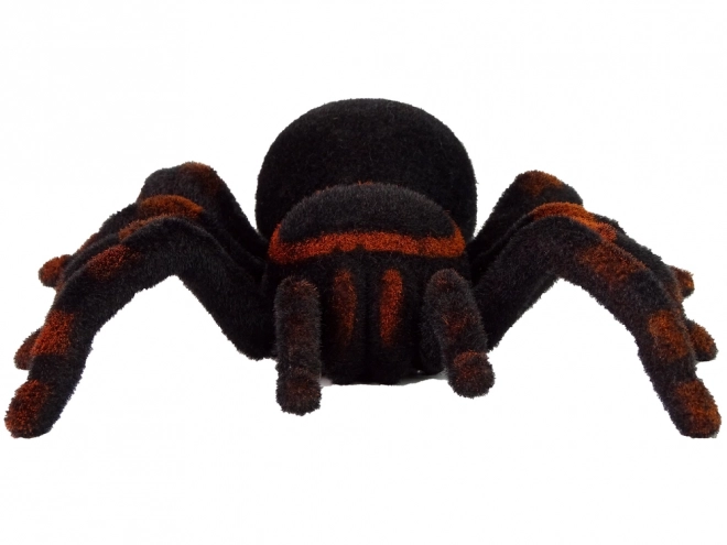 Távirányítós Fekete Tarantula Pók