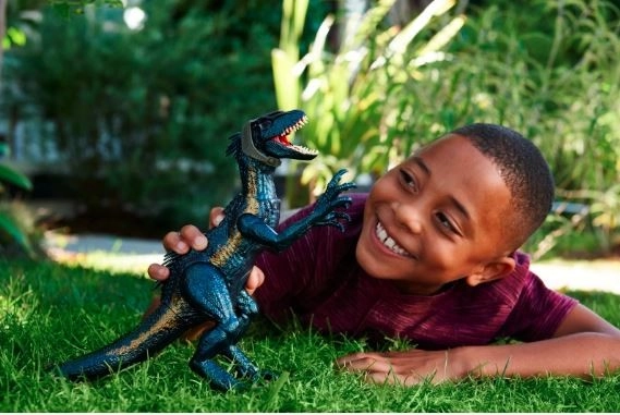 Raptor Szórakozás