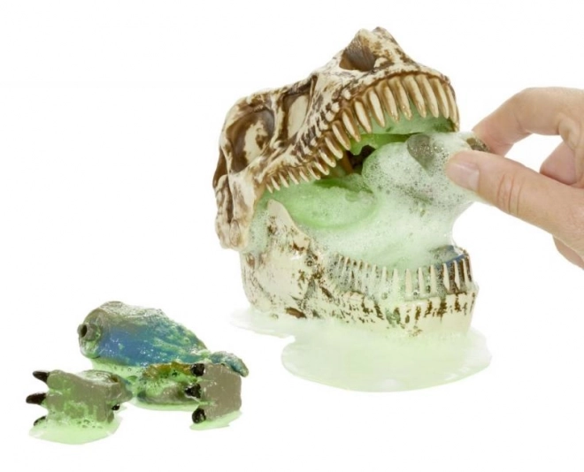 GrossMos dinoszaurusz koponya, 1. sorozat