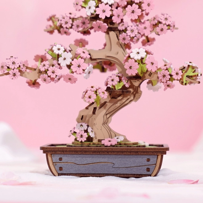 3D fa puzzle Sakura Bonsai