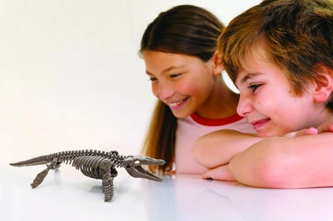 4M régész készlet - Mosasaurus csontváz