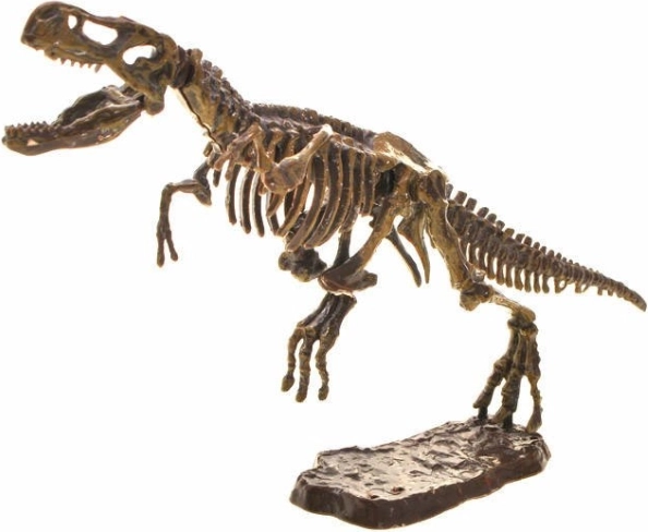 Összeépíthető 3D T‑Rex váz