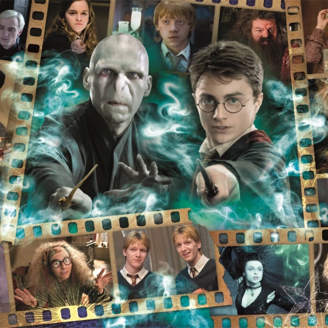 Puzzle Harry Potter: Kedvenc karakterek 1000 darab