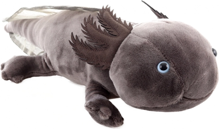 Biztonságos újszülött kortól