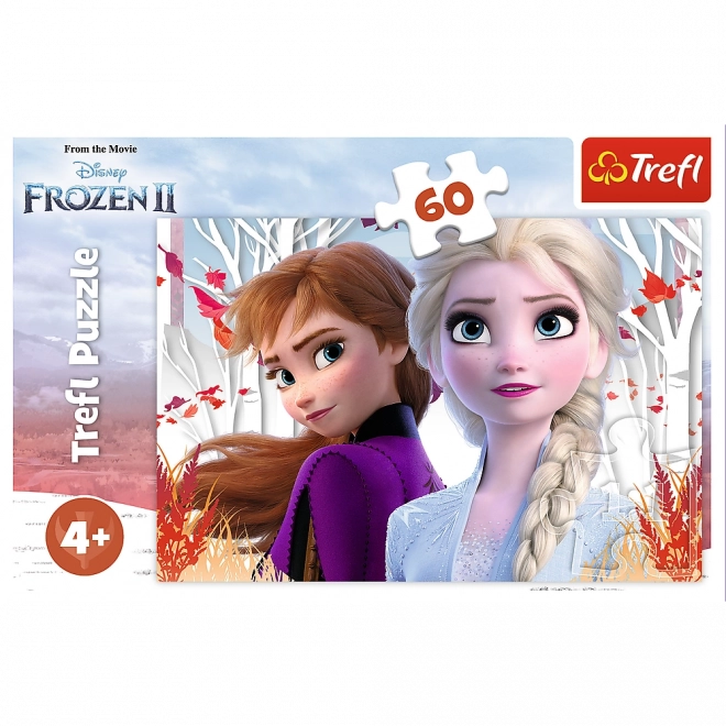 Varázslatos Jégvarázs Puzzle - Anna és Elsa