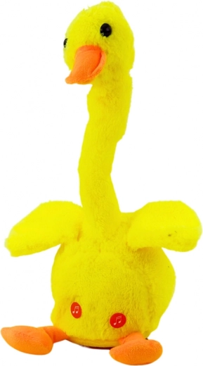 Szavakat ismétel, és az egész családot szórakoztatja