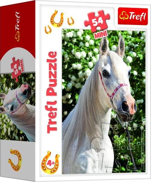 Ideális 4 éves kortól