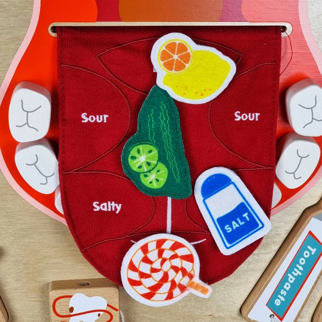Masterkidz montessori fogápolási falitábla