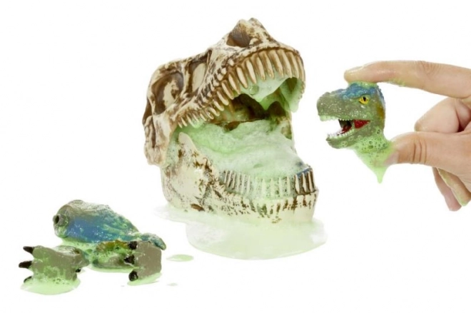 GrossMos dinoszaurusz koponya, 1. sorozat