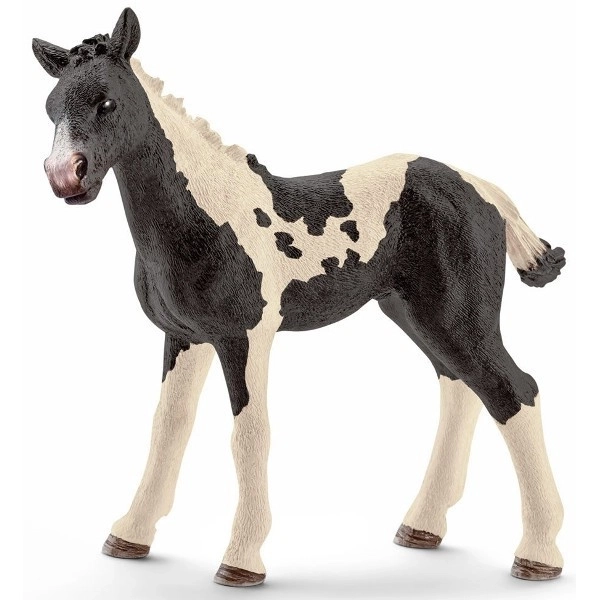 Pinto csikó figura SCHLEICH Horse Club